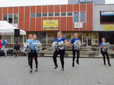 Obrázek 85367 