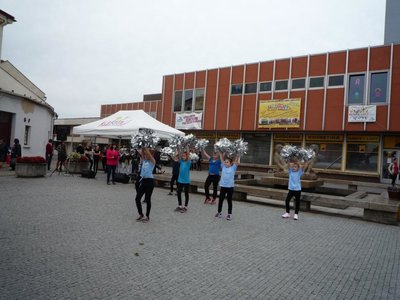 Obrázek 85377 