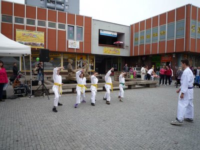 Obrázek 85382 