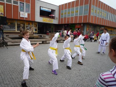 Obrázek 85383 