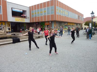 Obrázek 85336 