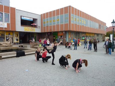 Obrázek 85337 