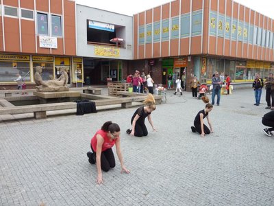 Obrázek 85339 