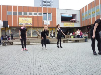 Obrázek 85342 
