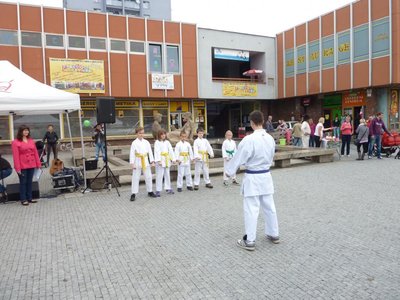 Obrázek 85345 