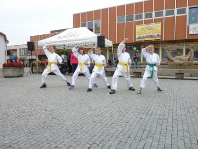 Obrázek 85346 