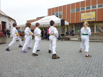 Obrázek 85347 