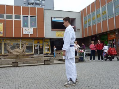 Obrázek 85348 