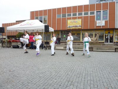 Obrázek 85349 