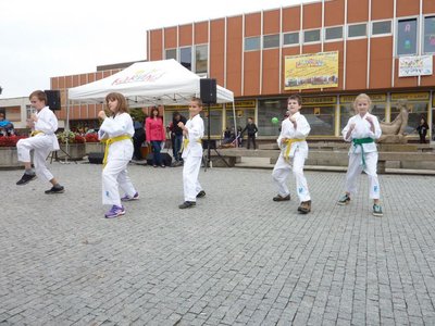 Obrázek 85350 