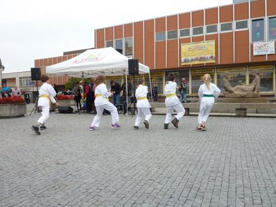 Obrázek 85351 