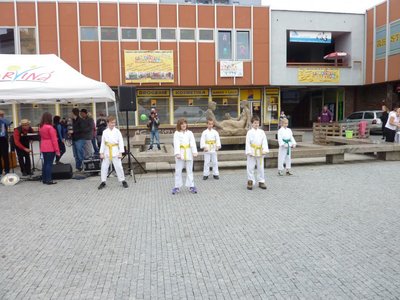 Obrázek 85352 