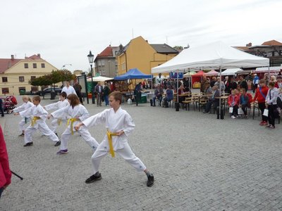 Obrázek 85354 