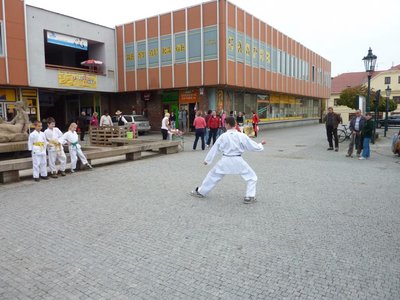 Obrázek 85355 