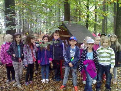 Obrázek 85296 