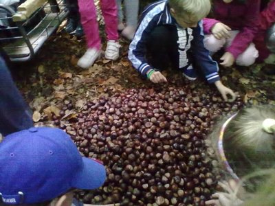 Obrázek 85308 