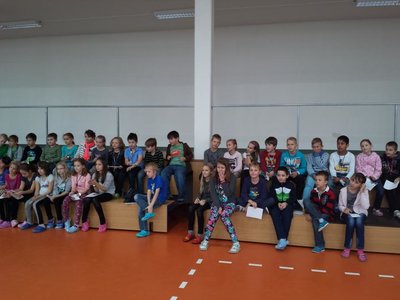 Obrázek 85155 