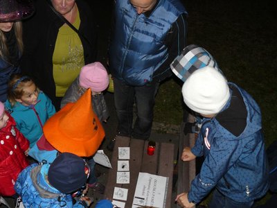 Obrázek 84832 