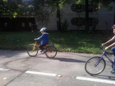 Obrázek 84797 