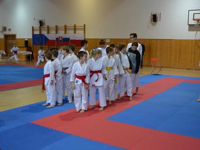 Mikulášský pohár 2014