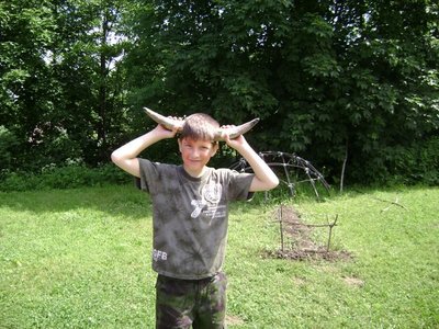 Obrázek 119845 