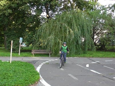 Obrázek 85799 