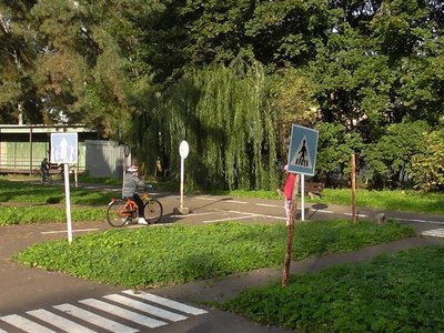 Obrázek 85803 