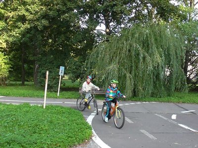 Obrázek 85817 