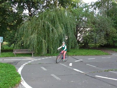 Obrázek 85819 
