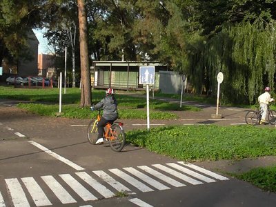 Obrázek 85822 