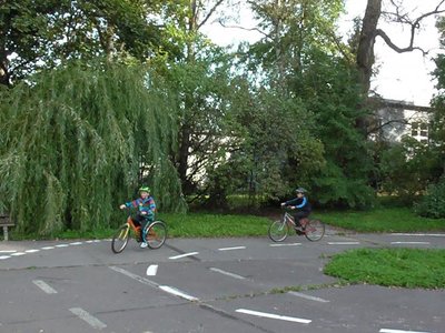 Obrázek 85823 
