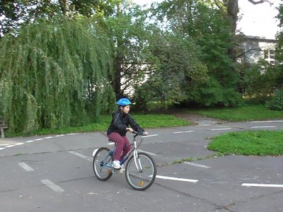 Obrázek 85824 