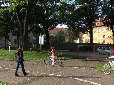 Obrázek 85836 