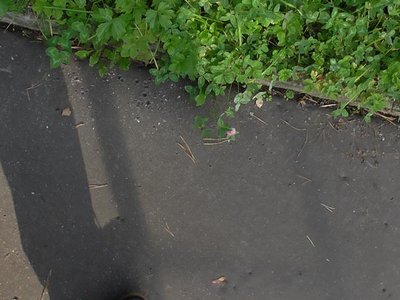 Obrázek 85855 