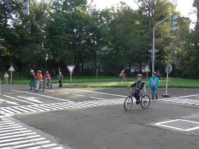 Obrázek 85866 