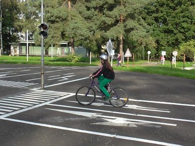 Obrázek 85877 