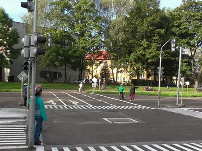 Obrázek 85883 