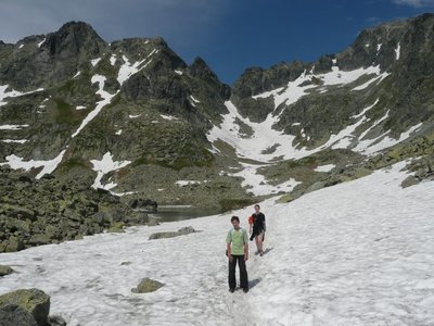 Obrázek 119763 