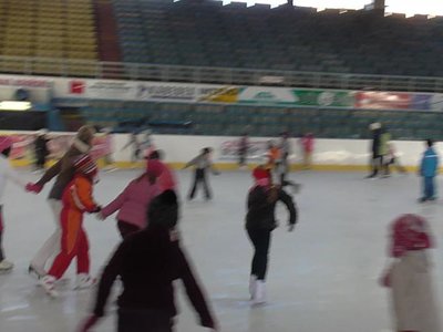 Obrázek 83537 