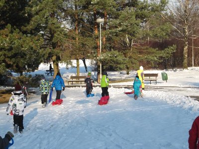 Obrázek 83027 