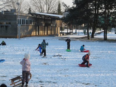 Obrázek 83036 