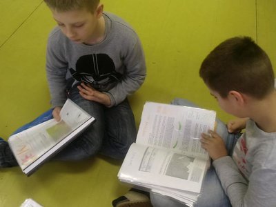 Obrázek 82661 