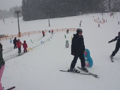 Obrázek 82201 