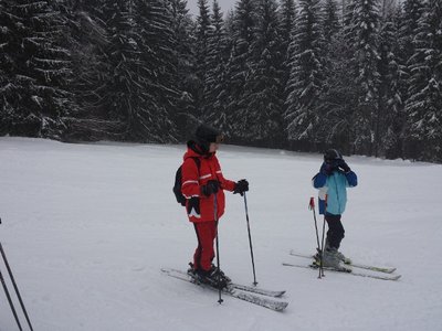 Obrázek 82176 