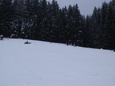 Obrázek 82129 