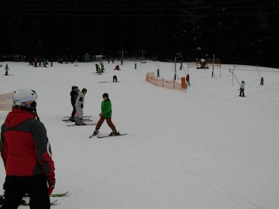 Obrázek 82132 