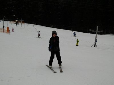 Obrázek 82134 