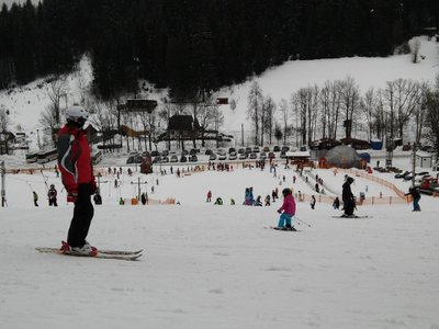 Obrázek 82155 