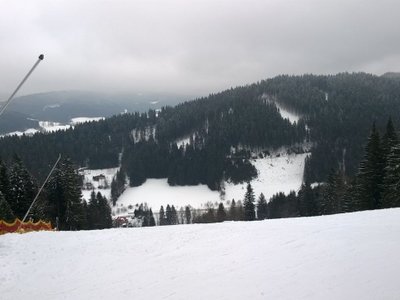 Obrázek 82011 