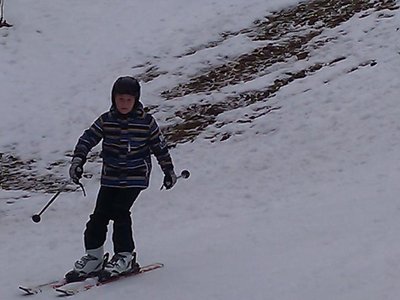 Obrázek 80990 